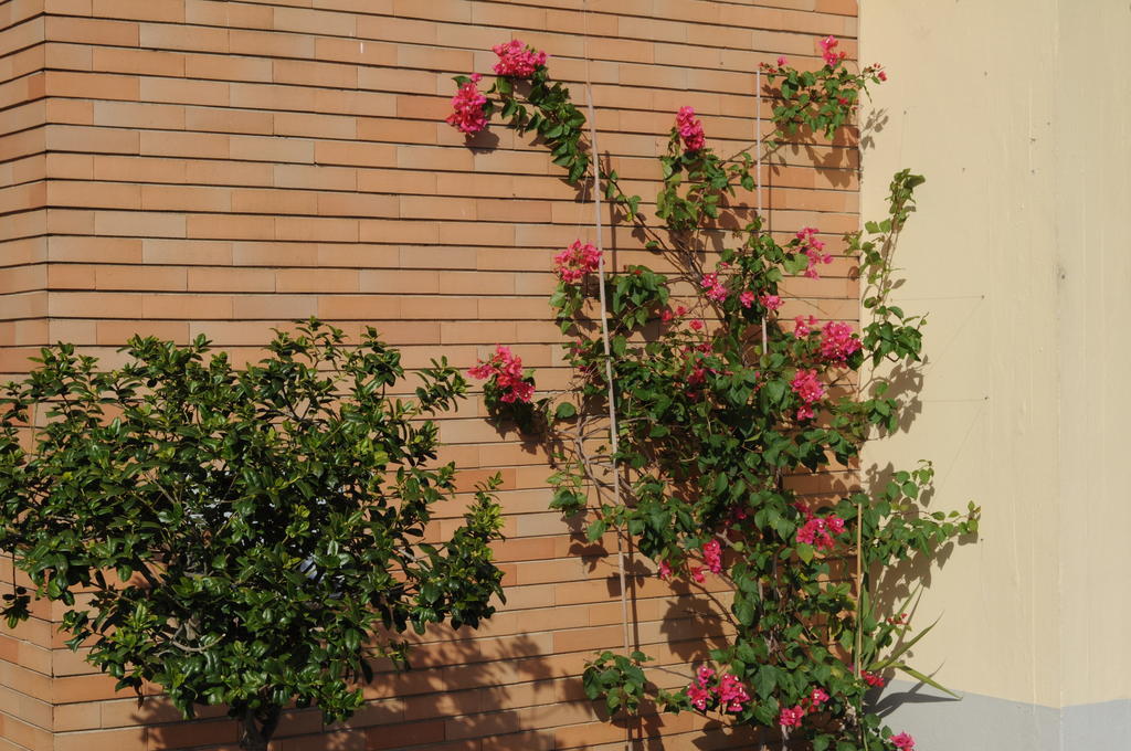 סיניה Marinetta Bed & Breakfast מראה חיצוני תמונה