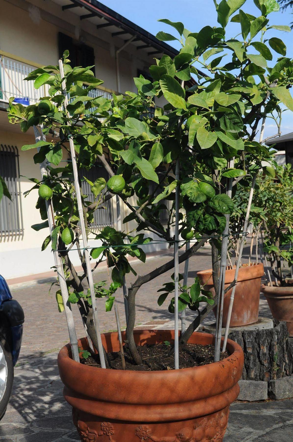 סיניה Marinetta Bed & Breakfast מראה חיצוני תמונה